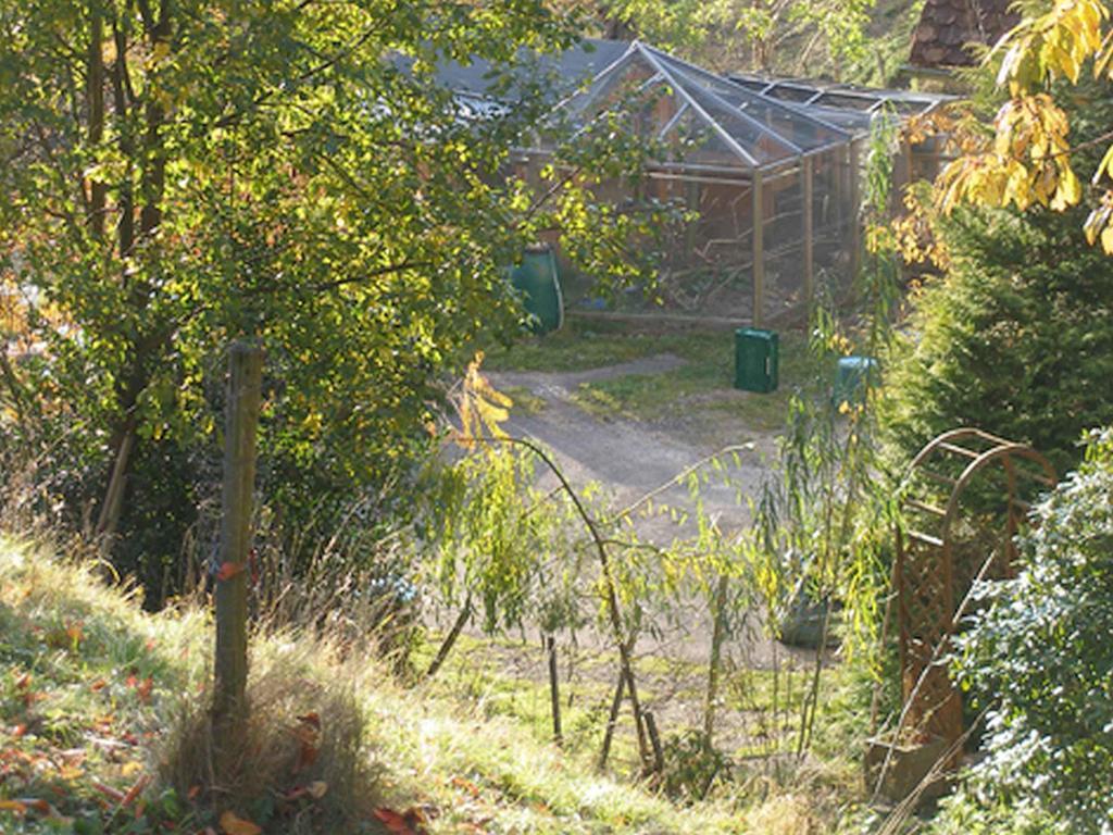 Appartamento Haus Antonis Triberg im Schwarzwald Esterno foto